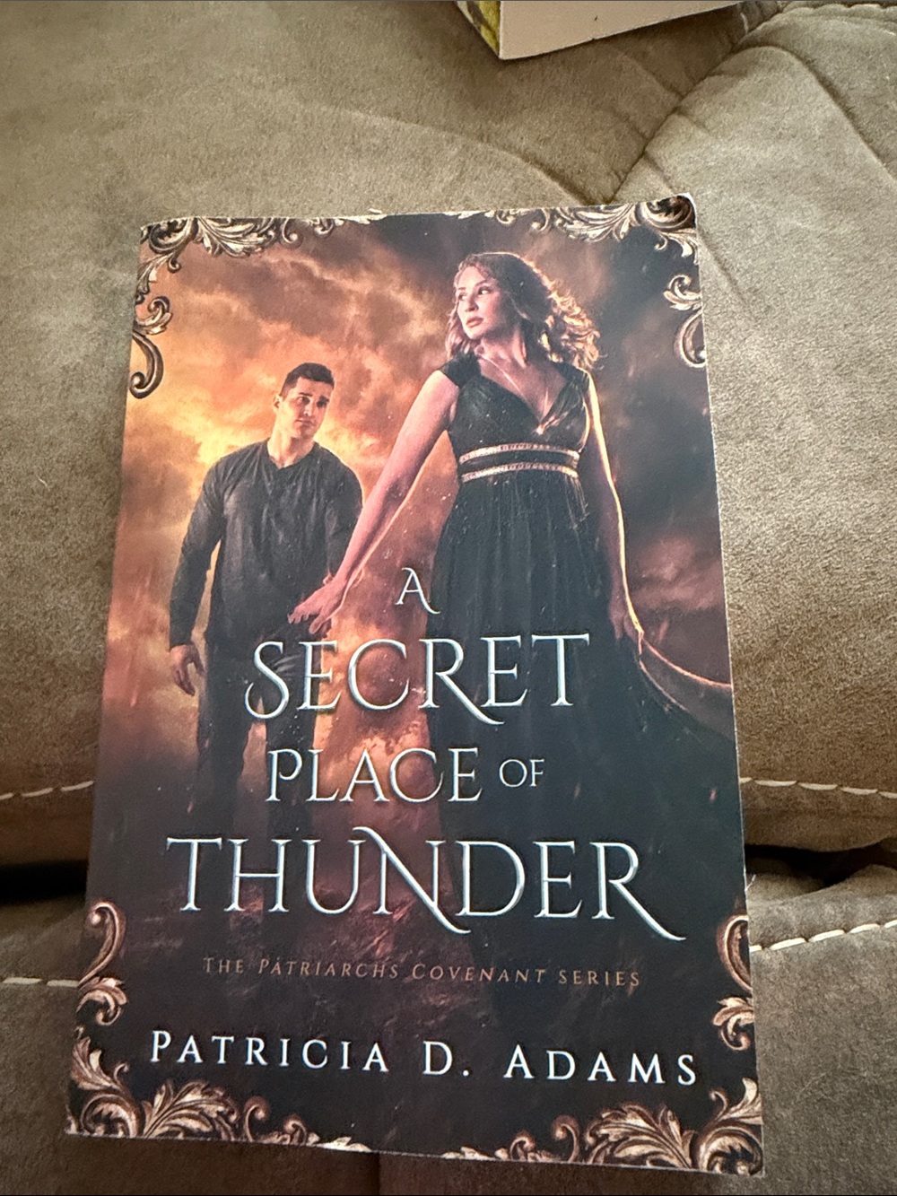 A Secret Place of Thunder by - Dark Brown/Black Cover